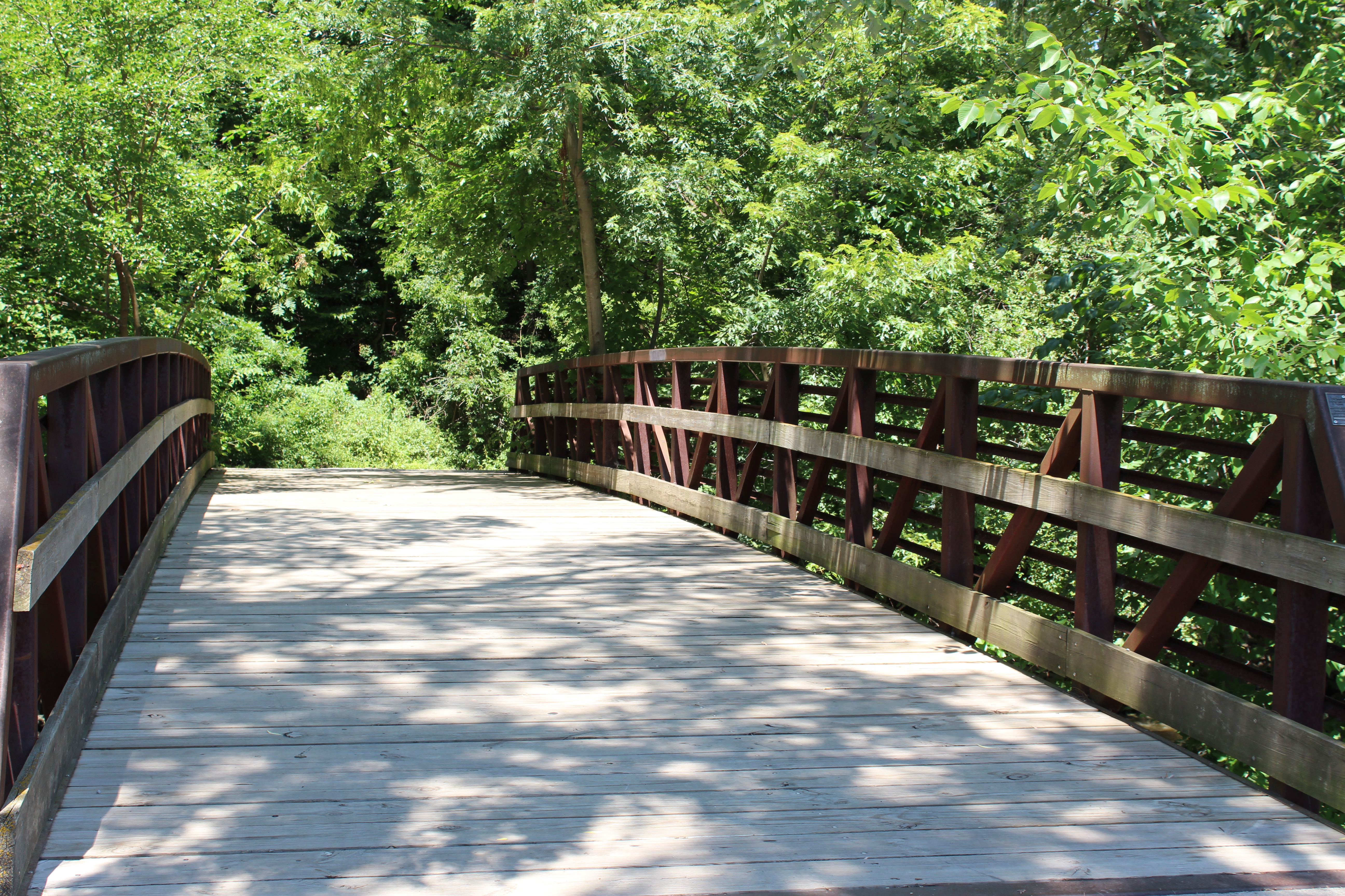 Bridge over Creek