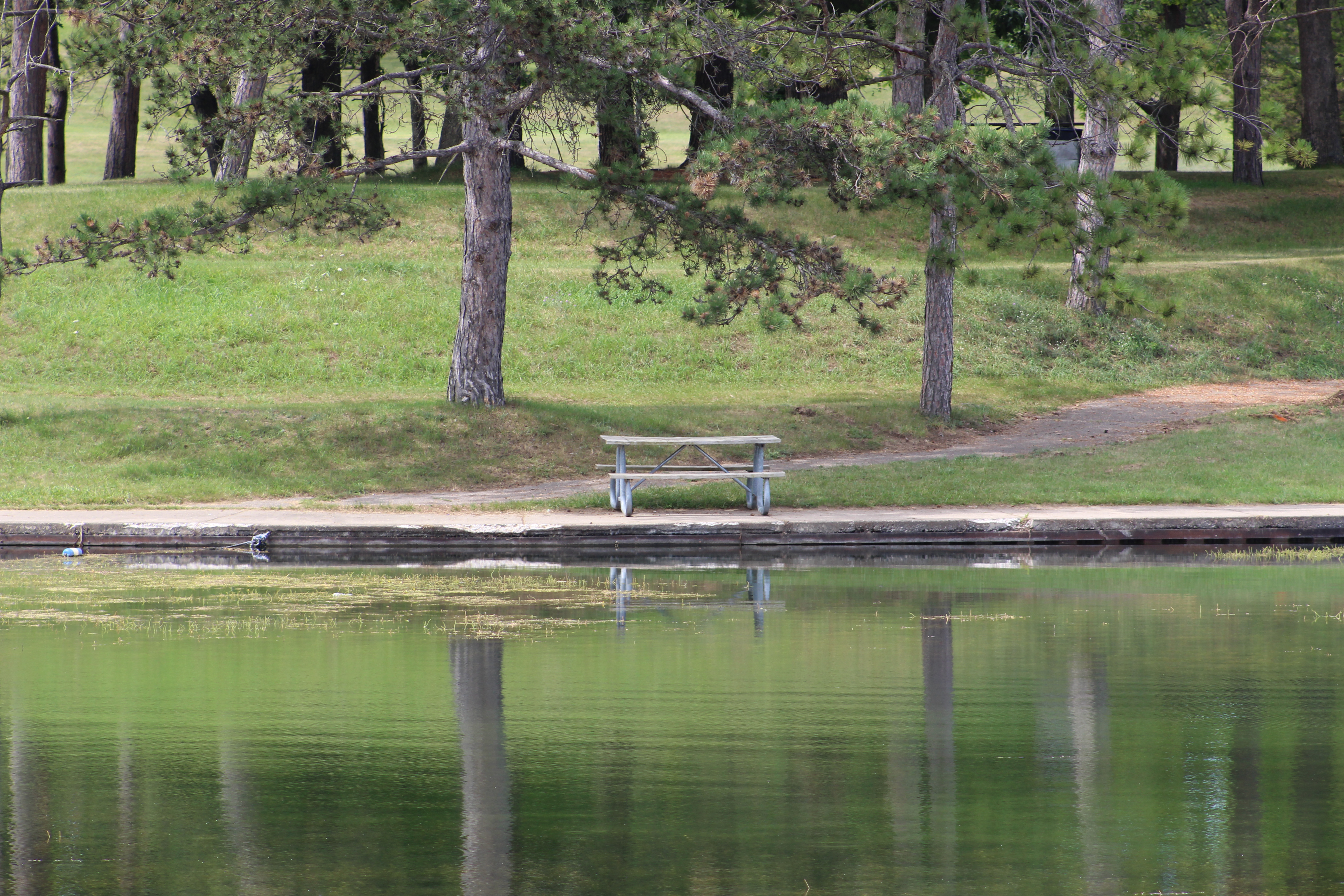 Reflection