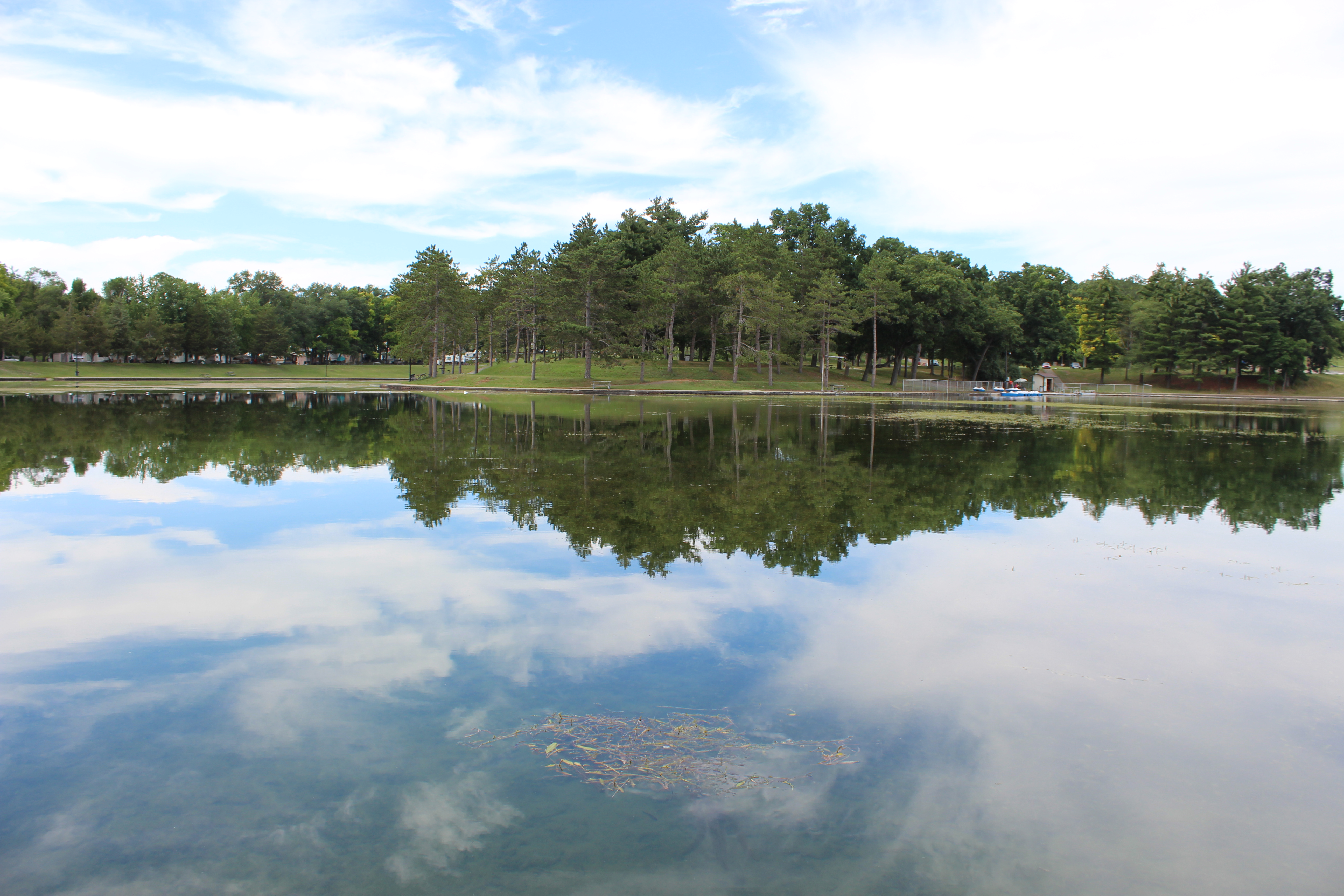 Summer Reflection