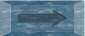 btnaror1.jpg (1172 bytes)