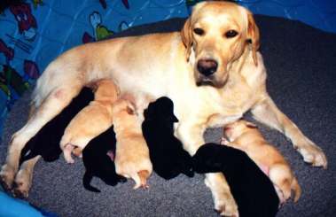 Feeding Time