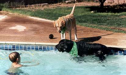 Ike, Babs and cousin Michael swim