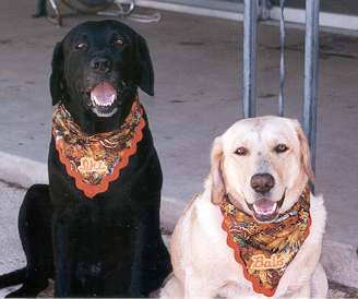 Ike and Babs happy in their 'danners