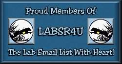 Link to LabsR4U