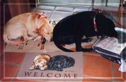 Welcome from Ike and Babs
