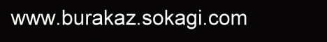 Siz de sayfan�za �cretsiz anket koymak istemezmisiniz ?