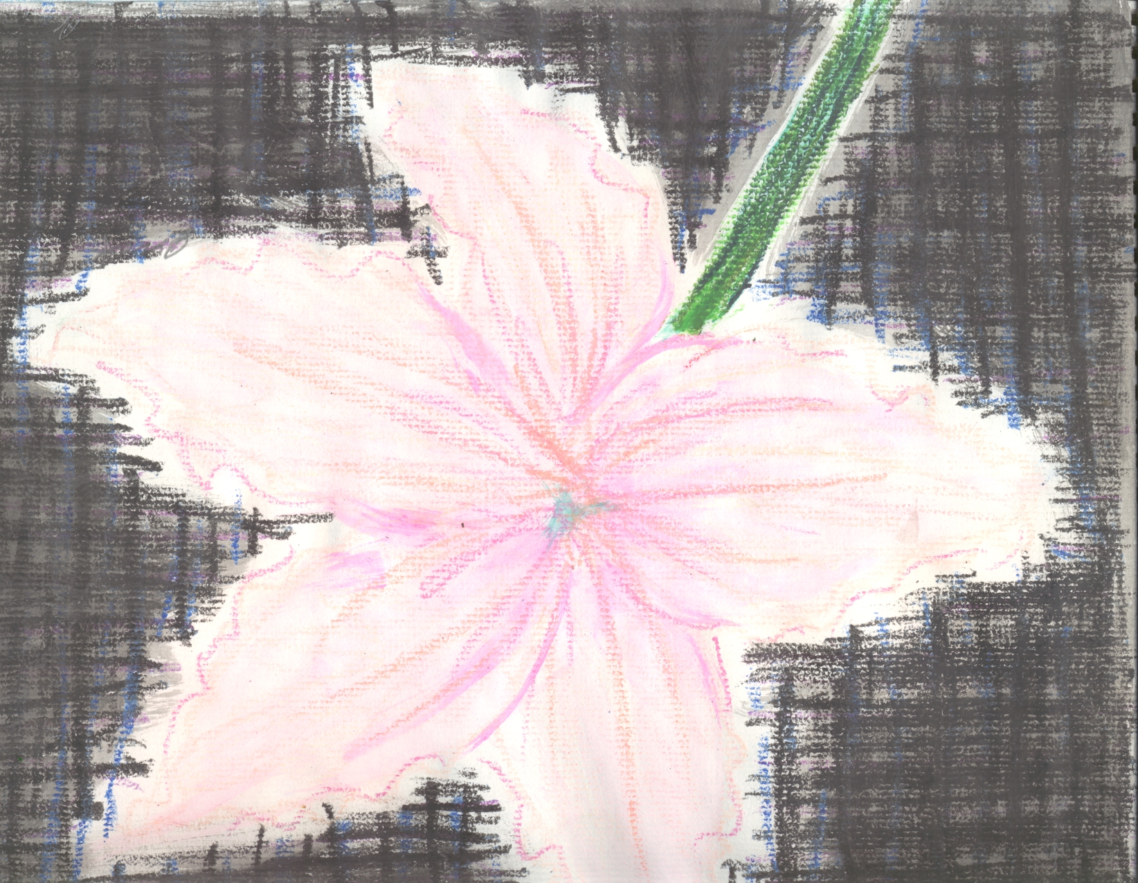 This is one from my series of pastel flowers.&nbsp; It's called Contradiction and Contrast.&nbsp; There is a bit of symbolism and personal issues involved but that's not really the point.