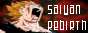 Saiyan Rebirth