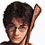 harry potter and the chamber of secrets