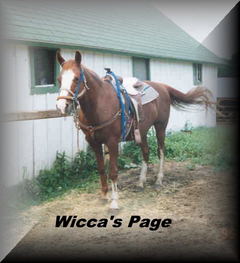  Wicca