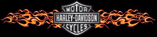Flame logo