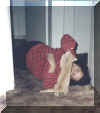 Mom_and__Lucas.jpg (335607 bytes)