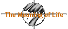 The Meaning of Life