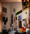 room11.jpg (73850 bytes)