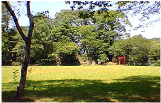 Nagashino battle