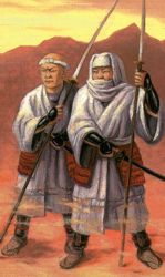 Warrior monks
