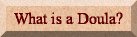 What is a Doula