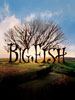 Sony Picture's movie Big Fish Poster