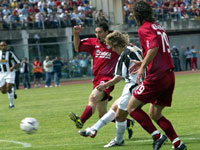 Nedved shoots