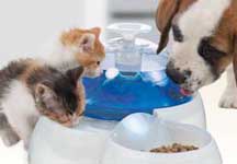 Rolf C. Hagen Inc.'s catit Drinking Fountain
