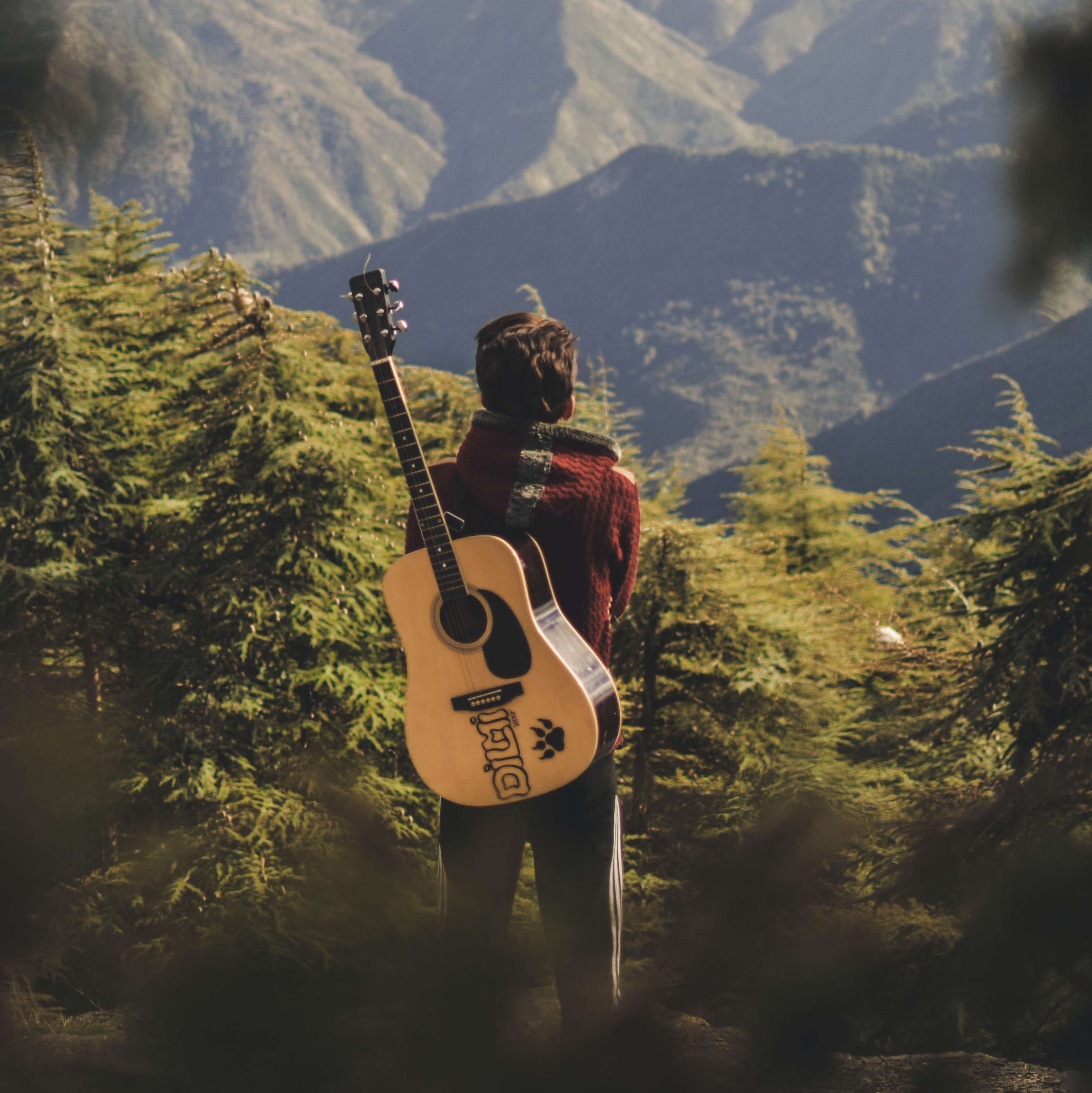 Guitarhippie
