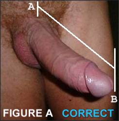 Point A to Point B... It's so easy you can't possibly make a mistake