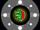 Grow your own Tarati
