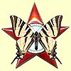 The «Podalirius Star»