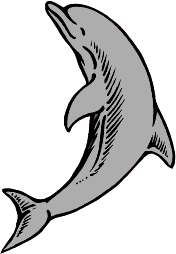 plenty of beauties here ...we mean dolphins of course!