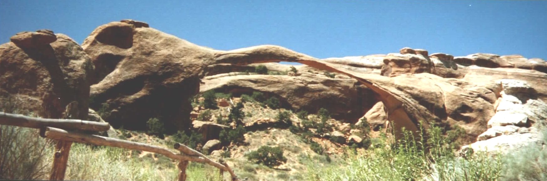 click to enlarge