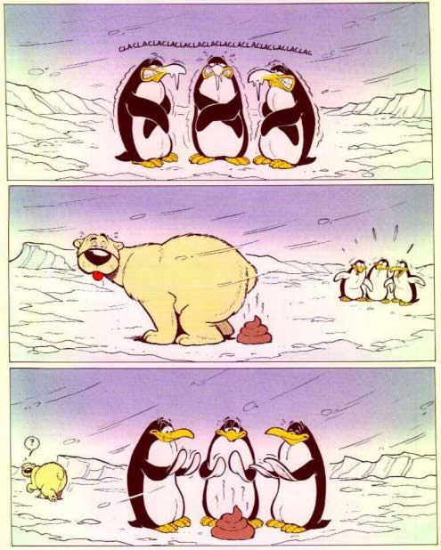 B&auml;r und seine Feinde