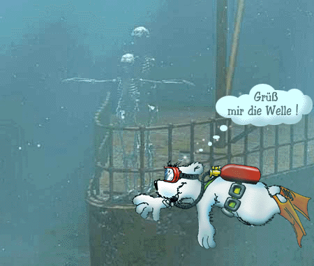 tauchender B&auml;r