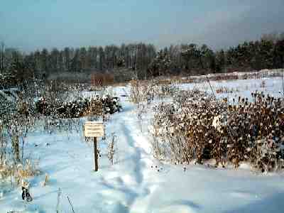 Evaluation garden for annuals and perennials