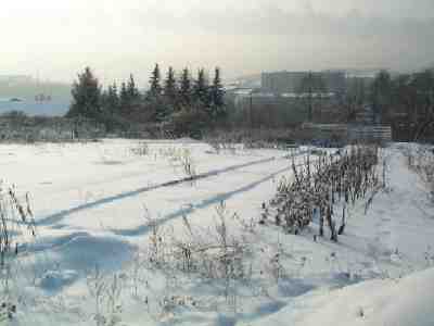 Evaluation garden for herbaceous perennials