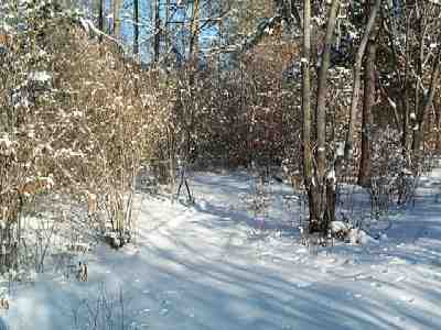 Entrance into the ecological trail and naturalistic garden