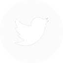 Twitter Icon