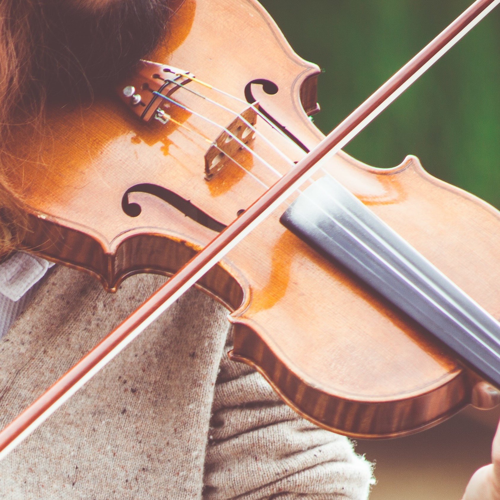 Violin