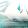 Hitsugaya Toushiro [Bleach]