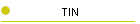 TIN