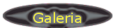 The Gallery