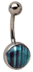 LAV37