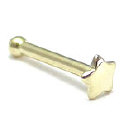 GNS016