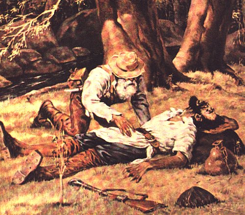 Morte na mata.