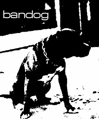 bandog~2.jpg (48476 bytes)