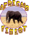 Africa's Finest