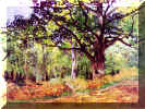 PICT_monet04.jpg (146921 bytes)