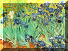 PICT_vangogh01.jpg (158683 bytes)