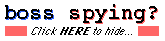 Boss Spying? Click HERE to Hide
