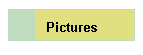 Pictures