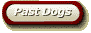 Past Dogs